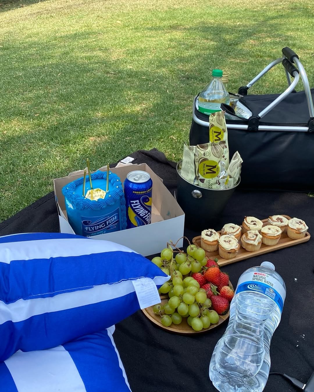 Birthday picnic spread with small cake on a blanket