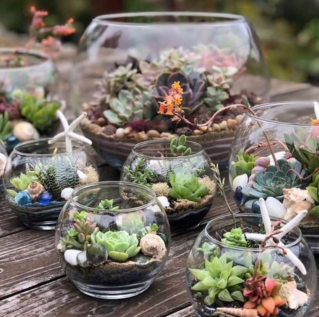 Mini glass terrariums with succulents on garden table