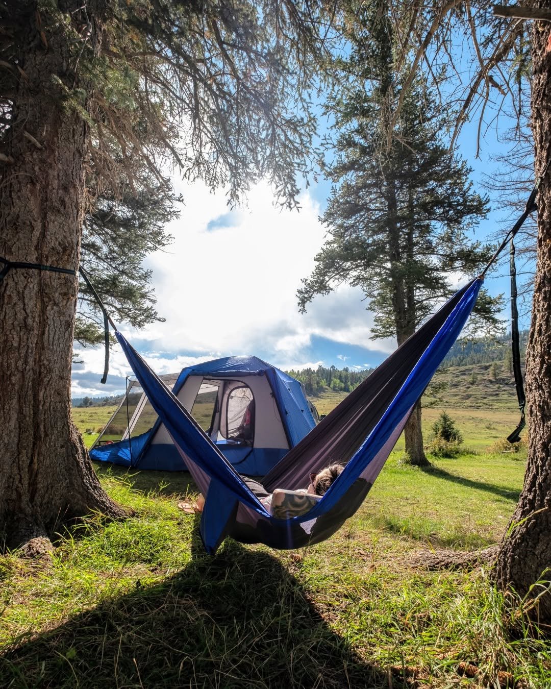 Hammock between pine trees at lakeside campsite