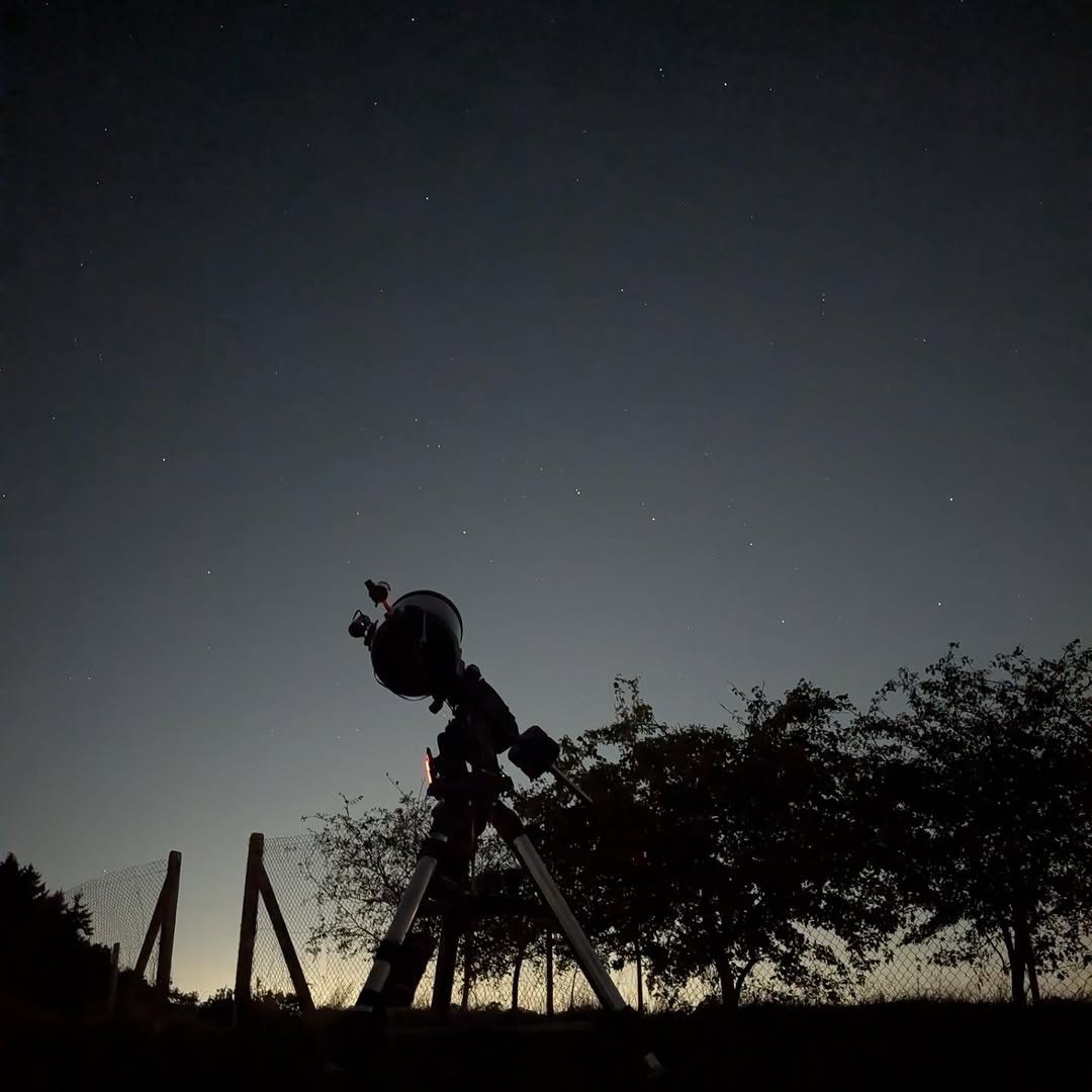 Telescope in garden under starry sky